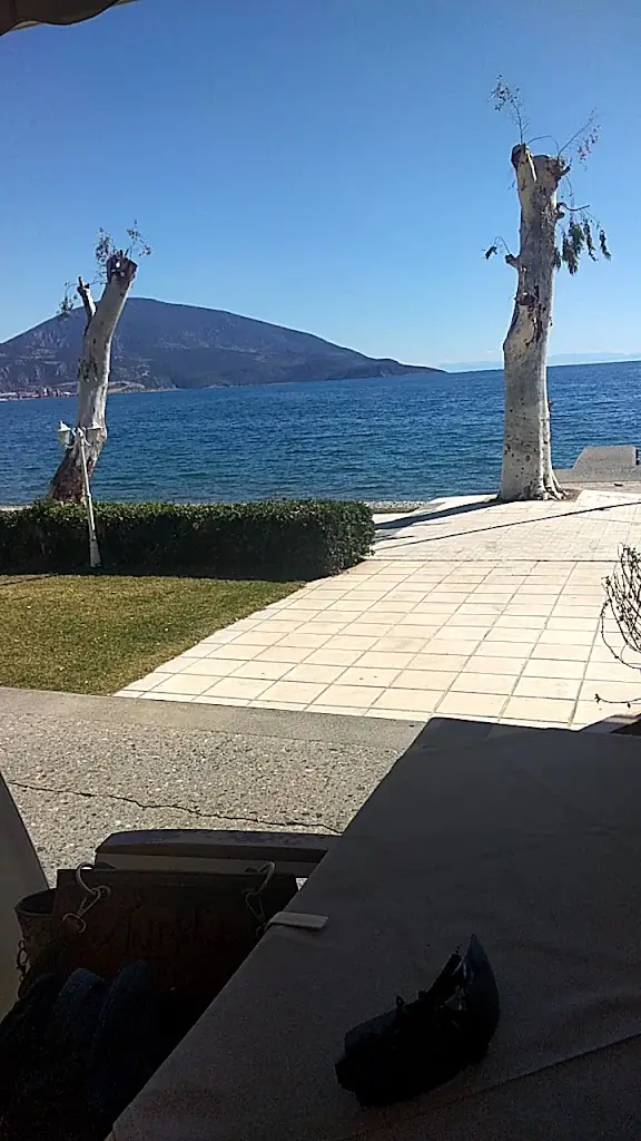 Peroquet_Dístomo_slider_image_2