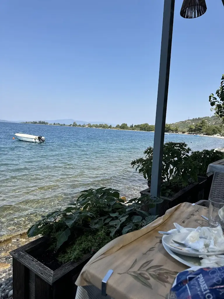 Margarita Fisher_Tavern Drosia_Áyios Konstandínos_Bewertung