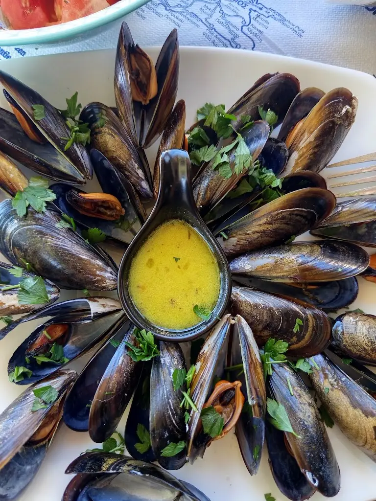 pavel sabat_Akrogiali_Áyios Konstandínos_avis