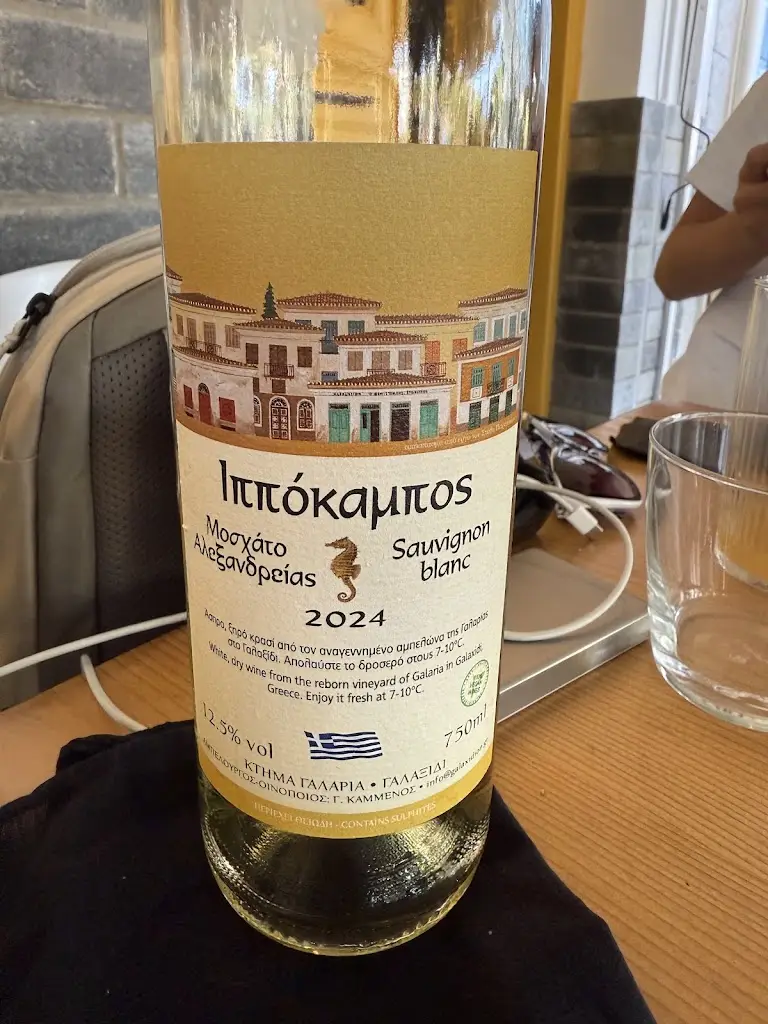 Sergey _Ab oVo Restaurant Galaxidi_Galaxídhion_review