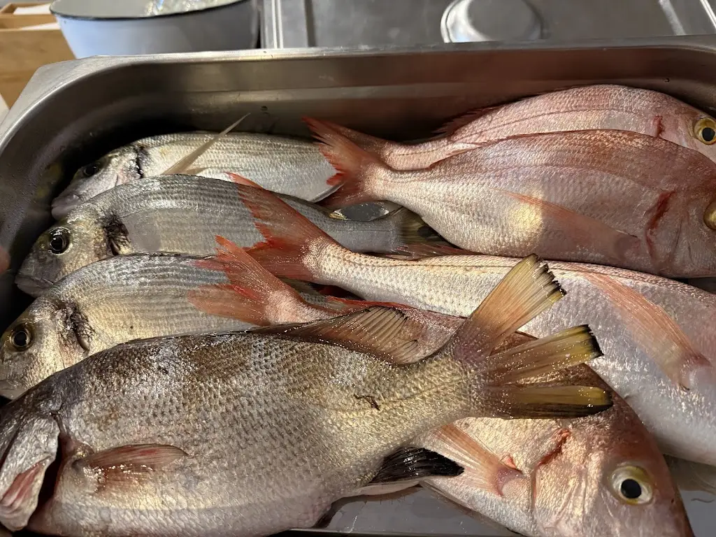 Lingmei Lin_Ab oVo Restaurant Galaxidi_Galaxídhion_review