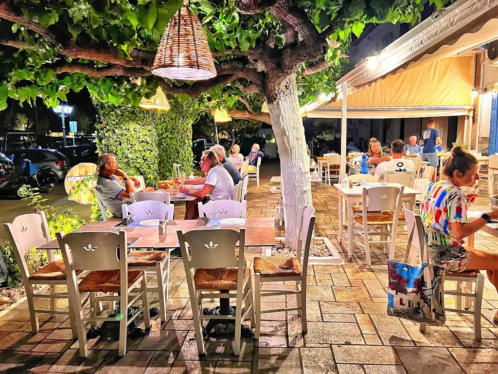 Ab oVo Restaurant Galaxidi Restaurant in Galaxídhion