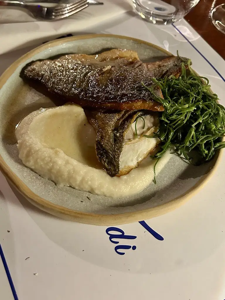 KonDiam_Riva Galaxidi_Galaxídhion_Bewertung