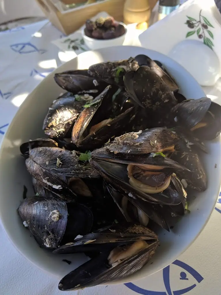 Menü_Skeletovrachos_Galaxídhion_Bild_5