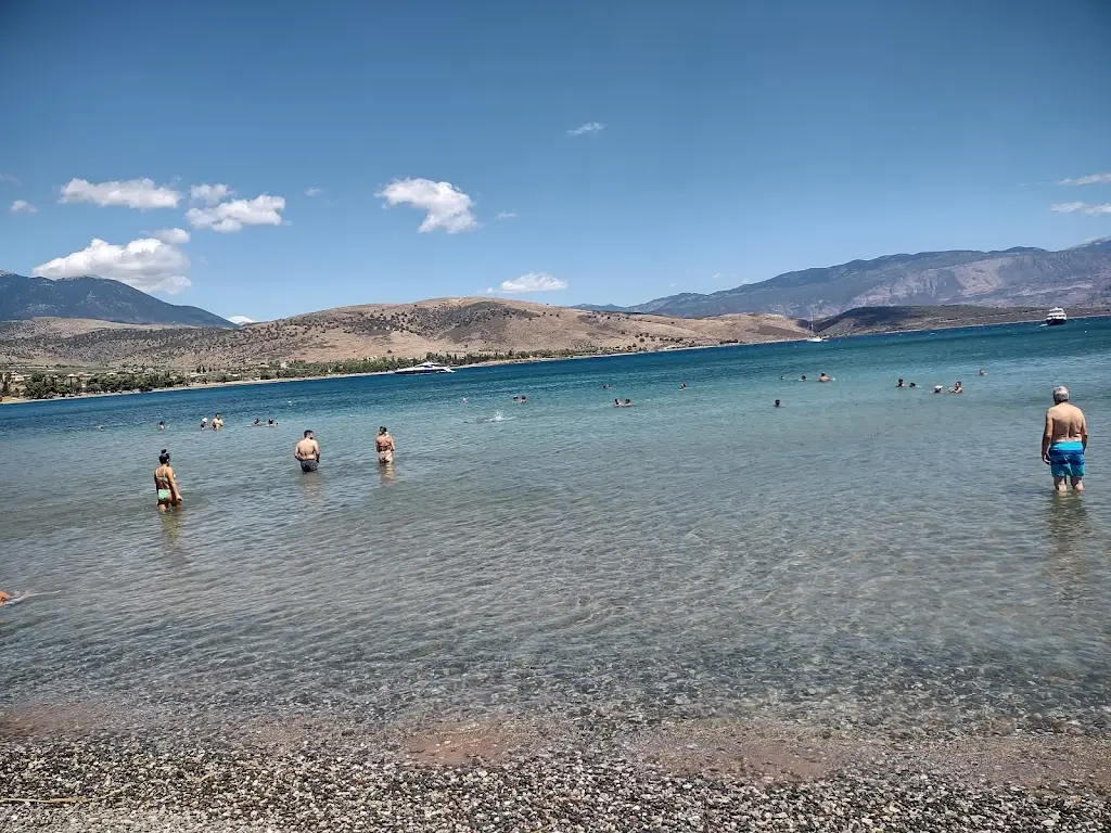 Greg Moraitis_Kalafatis Galaxidi Beach Bar & Restaurant_Galaxídhion_Bewertung