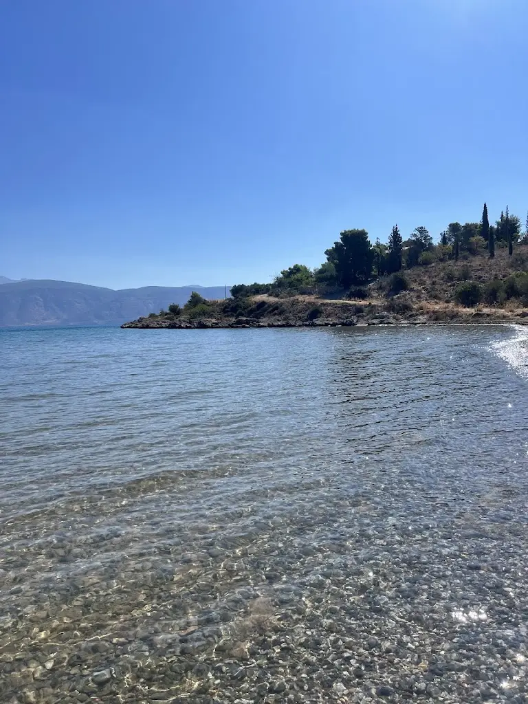 Andrei Mot_Kalafatis Galaxidi Beach Bar & Restaurant_Galaxídhion_Bewertung