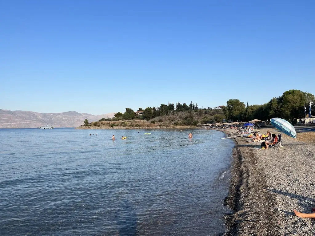 Daphne Tolis_Kalafatis Galaxidi Beach Bar & Restaurant_Galaxídhion_Bewertung