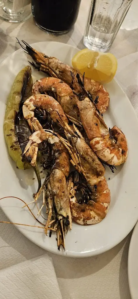 Ian Fowler_STEKI FAMILY_Galaxídhion_Bewertung