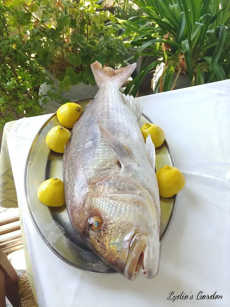 Menü_Kavos_Kaména Voúrla_Bild_5