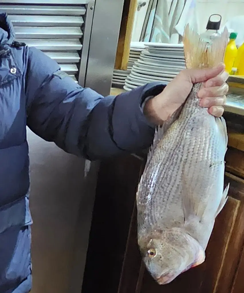 john tadros_Kavos_Kaména Voúrla_Bewertung