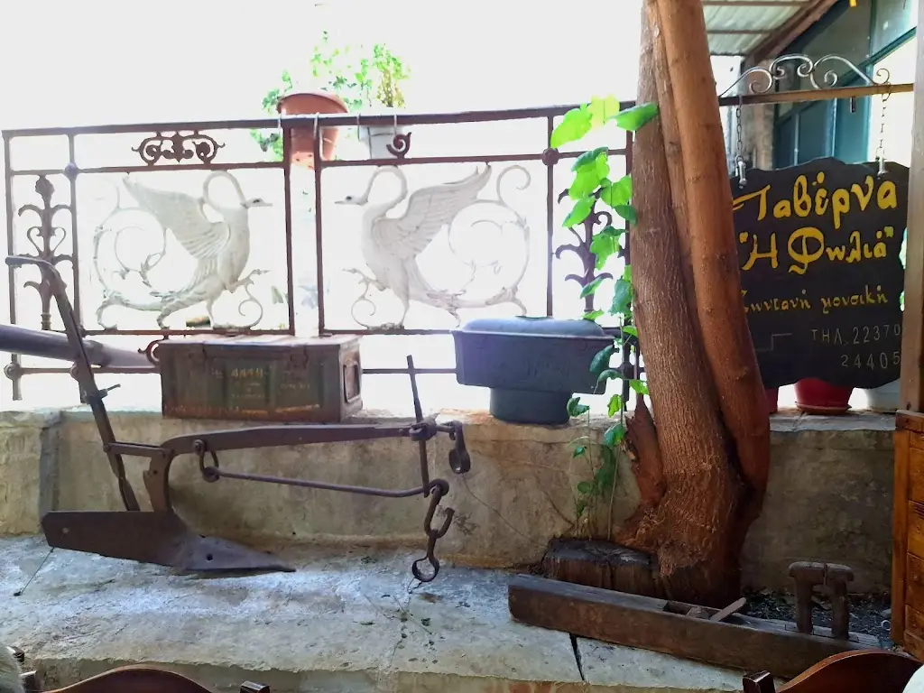 Jasmine Jasmine_Foliá Tavern_Karpenísi_Bewertung