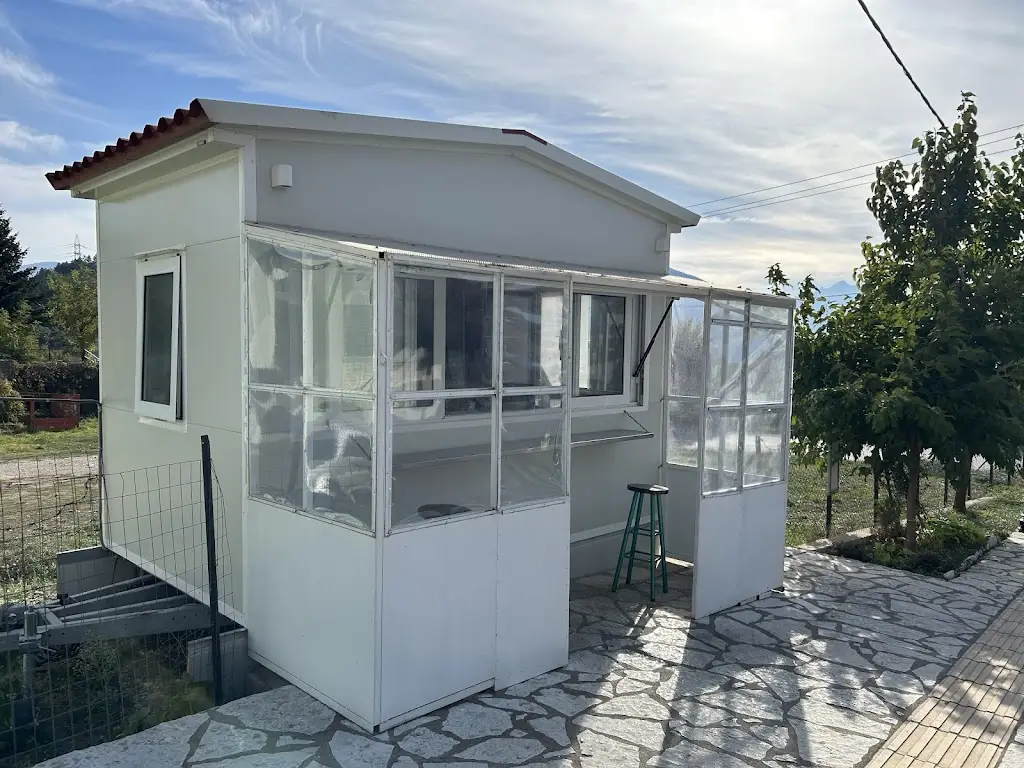 Andreas Pahoulis_Arístos Canteen_Karpenísi_review