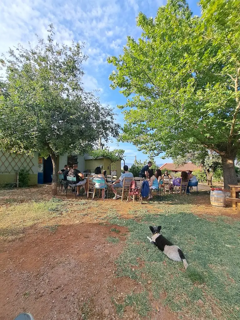 Iasonas Det_Χαμοκέλα Ρακαριό του Πενταρίτσα_Káto Tithoréa_Bewertung