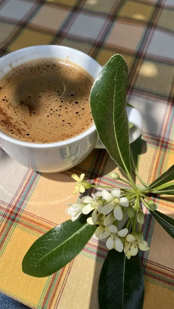 Menu_Η ΤΑΒΕΡΝΑ ΤΟΥ ΒΑΣΙΛΗ_Kastélla_imagen_2