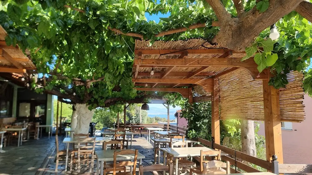 Elaine Borges-Ibanez_Tavern Bakoutis Nikolaos_Kastélla_review