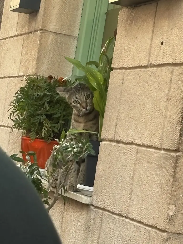 Honza Putner_ΚΡΗΤΩΝ ΓΕΥΣΕΙΣ εν Αιγίνη - KRITON GEFSIS in Aegina Resto_Aegina_review