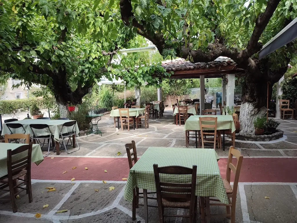 Ταβερνα Οι Μουριες Restaurant in Lianokládhion