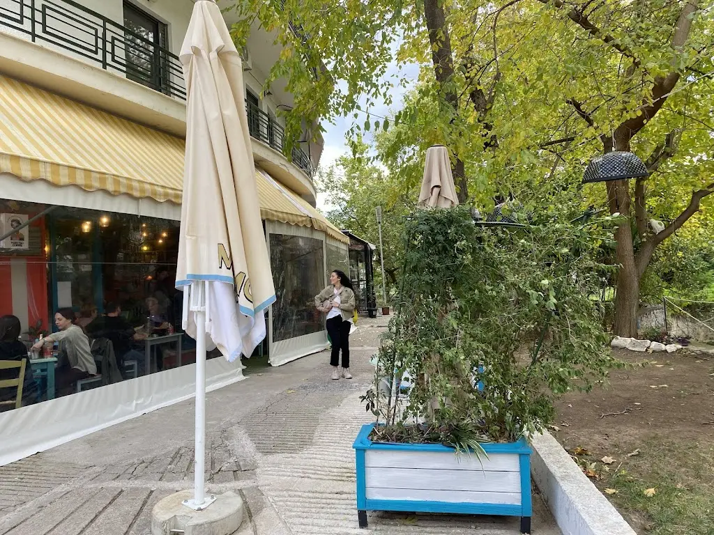 Adrian Mohammad Tavallaee (Rex.rider.tt)_Paliatsos_Livadeiá_review