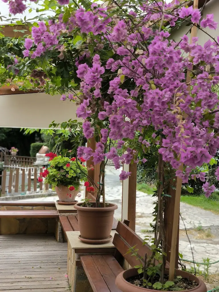 Sebycretzu_Κτήμα Αλεξίου_Mantoúdi_Bewertung