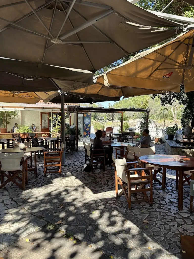 Κτήμα Αλεξίου_Mantoúdi_slider_image_3