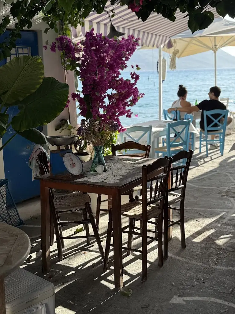 Café Ouzeri O Pharos_Mytikas_slider_image_3