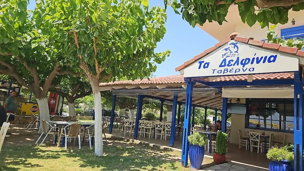 Tavern Beach Bar Delfinia Restaurant in Mytikas