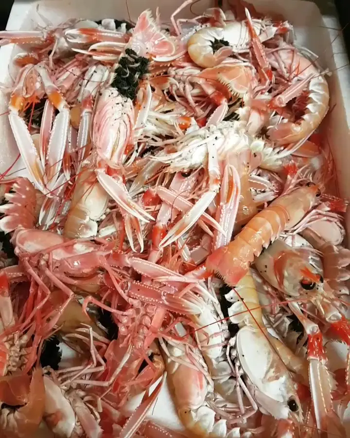 Το κουτούκι του Περικλή_Néa Lámpsakos_slider_image_2