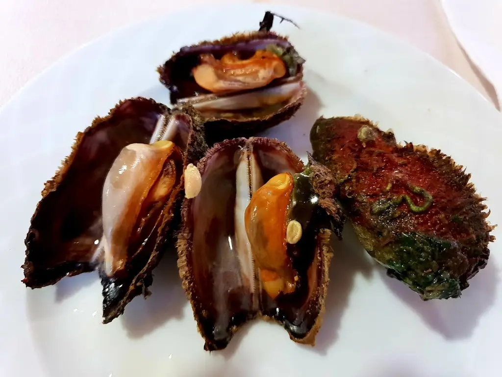 Anfisa Vitali_Amerikános_Néa Lámpsakos_review