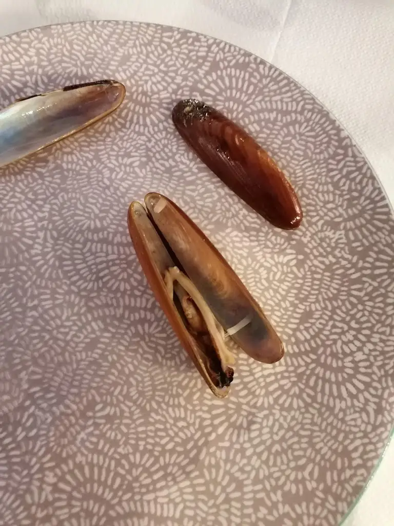 Serkan Sanu_Ουζερι ΤΖΙΒΑΕΡΙ_Néa Lámpsakos_Bewertung