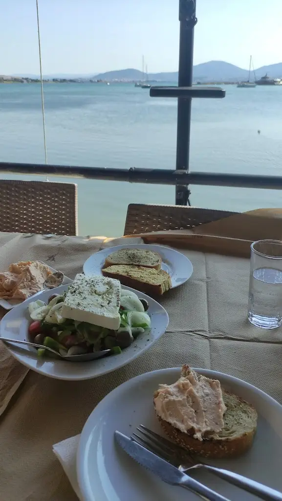 who is iliana_ouzo Nicholas_Néa Artáki_review