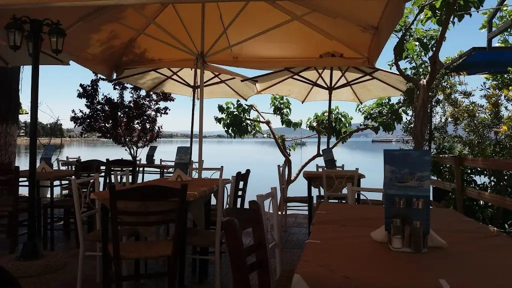 ouzo Nicholas Restaurant in Néa Artáki