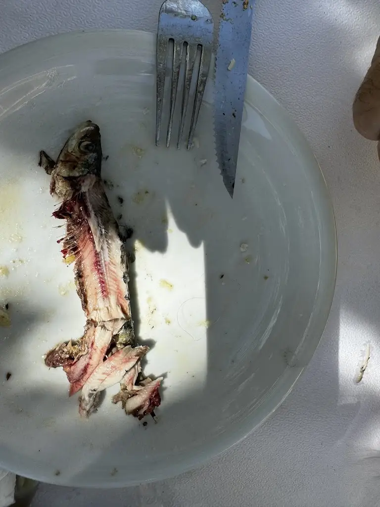 Menü_Τσιπουράκι μεζε_Néa Artáki_Bild_3