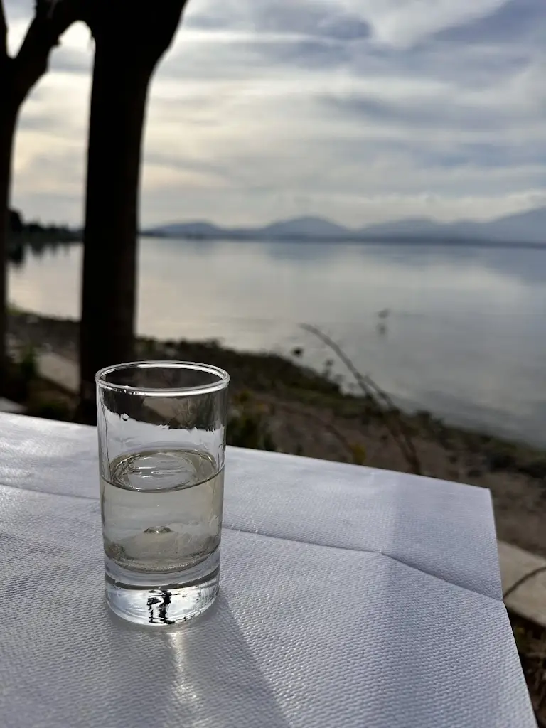 Menü_Τσιπουράκι μεζε_Néa Artáki_Bild_4