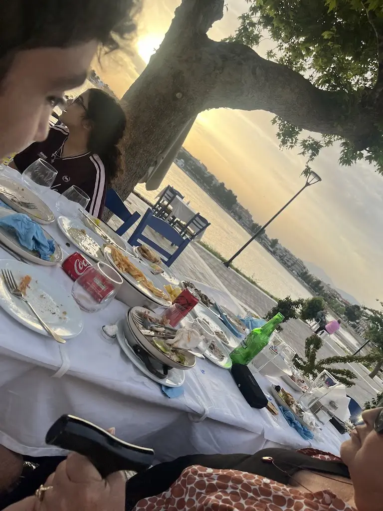 Steve Macris_Τσιπουράκι μεζε_Néa Artáki_Bewertung