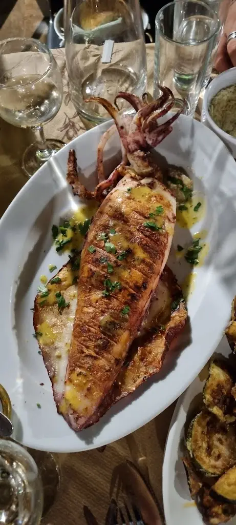 Mona Roozfarakh_Teskos_Néa Artáki_Bewertung