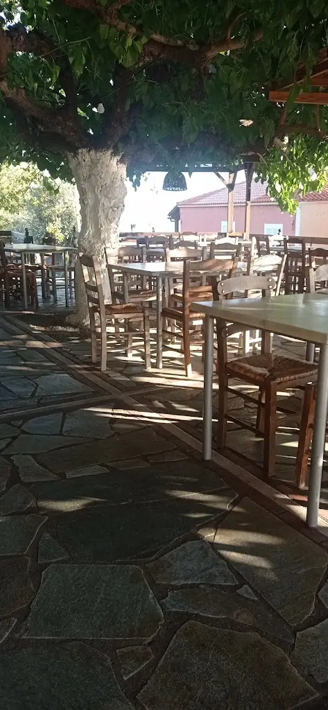 Νικόλας Grill_Néa Artáki_slider_image_3