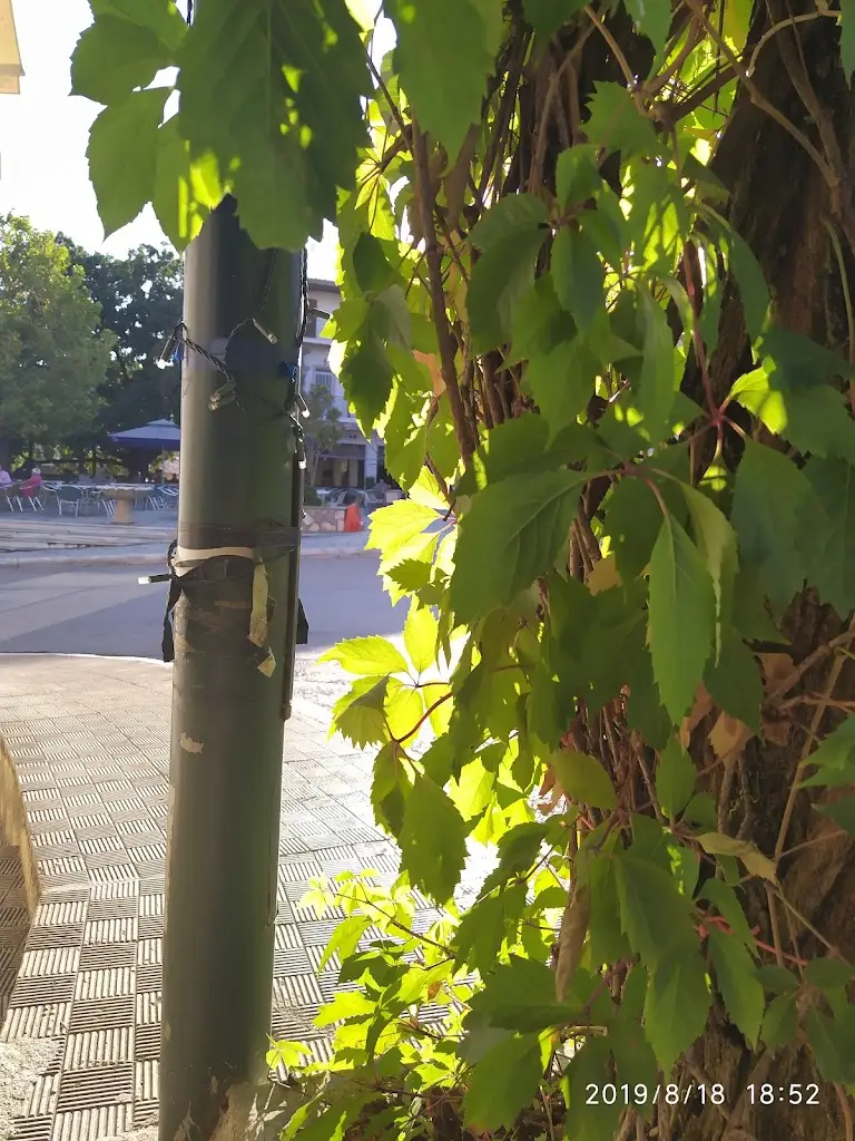 Το Στέκι Της Λέλας_Omvriakí_slider_image_3