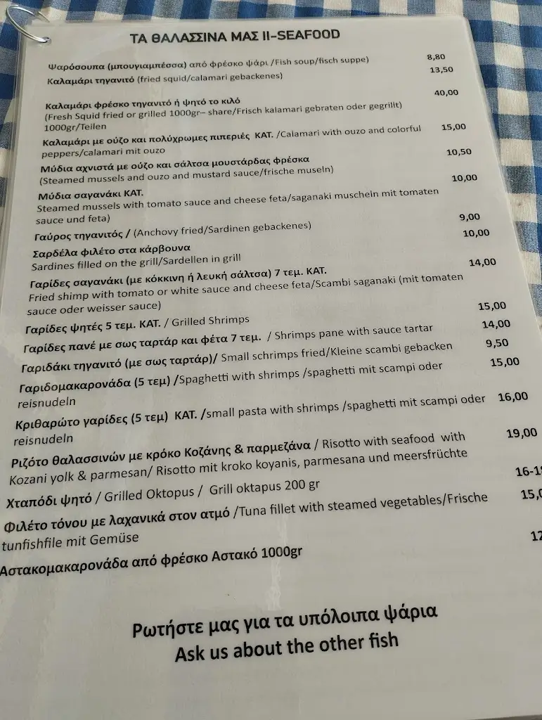 Menü_Restaurant Nea Styra “O Nikos”_Néa Stíra_Bild_4