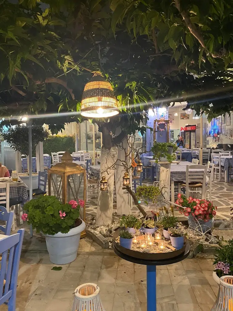 Restaurant Nea Styra “O Nikos” Restaurant in Néa Stíra