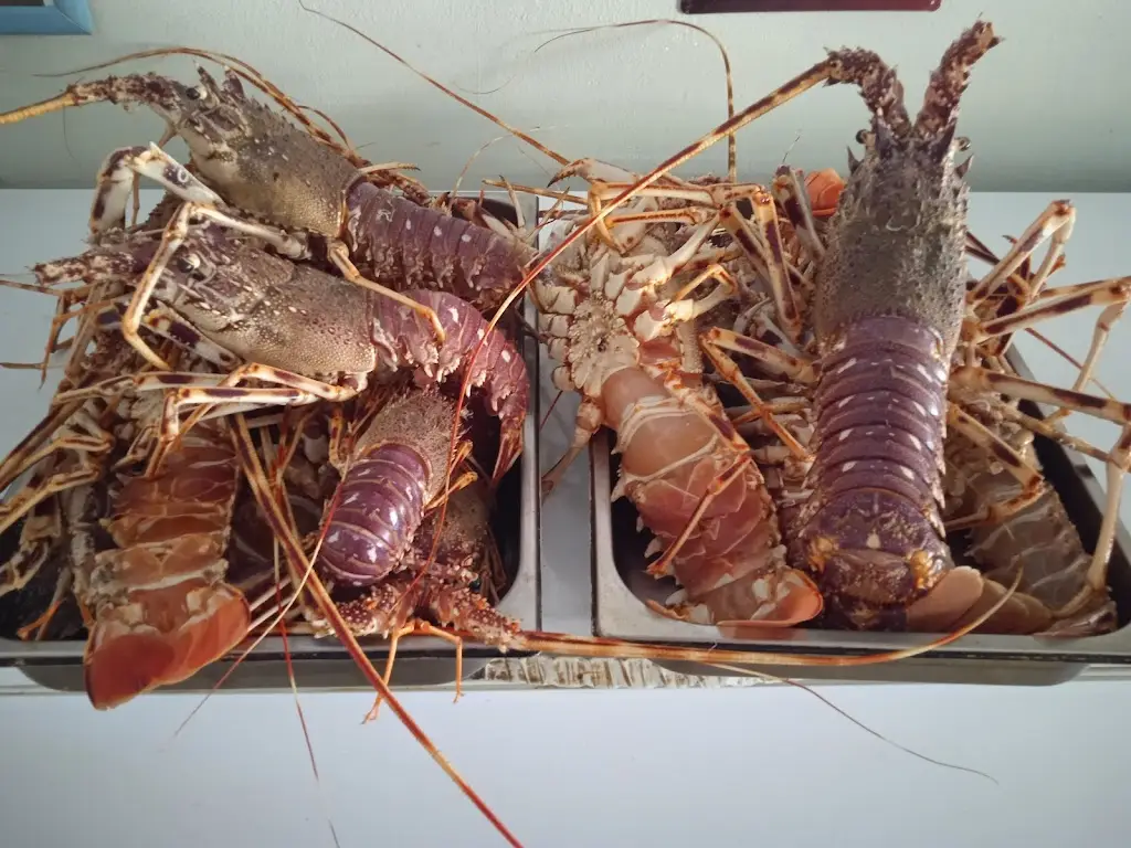 Restaurant Nea Styra “O Nikos”_Néa Stíra_slider_image_3