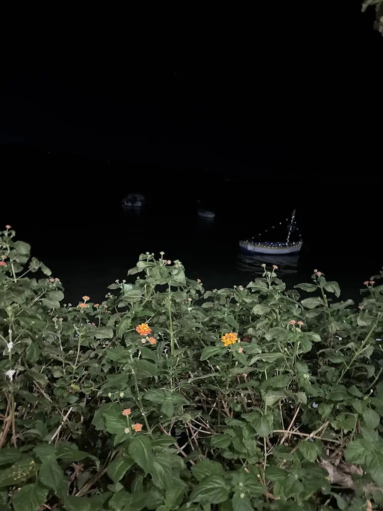 Belinda Downing_Σαρδε...λίτσα Νέα Στύρα / Sardelitsa Nea Styra Restaurant_Néa Stíra_Bewertung