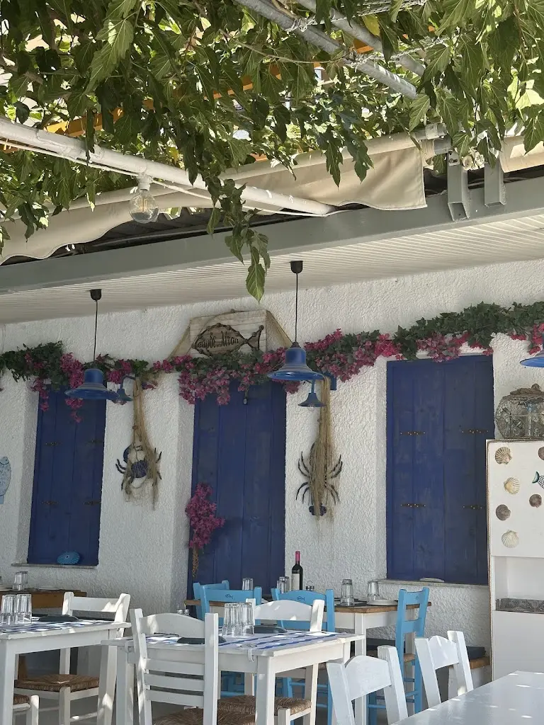 Ines Bujanowicz_Σαρδε...λίτσα Νέα Στύρα / Sardelitsa Nea Styra Restaurant_Néa Stíra_Bewertung