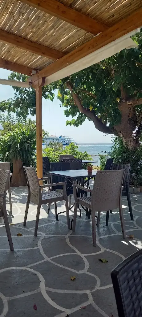 Σαρδε...λίτσα Νέα Στύρα / Sardelitsa Nea Styra Restaurant_Néa Stíra_slider_image_3