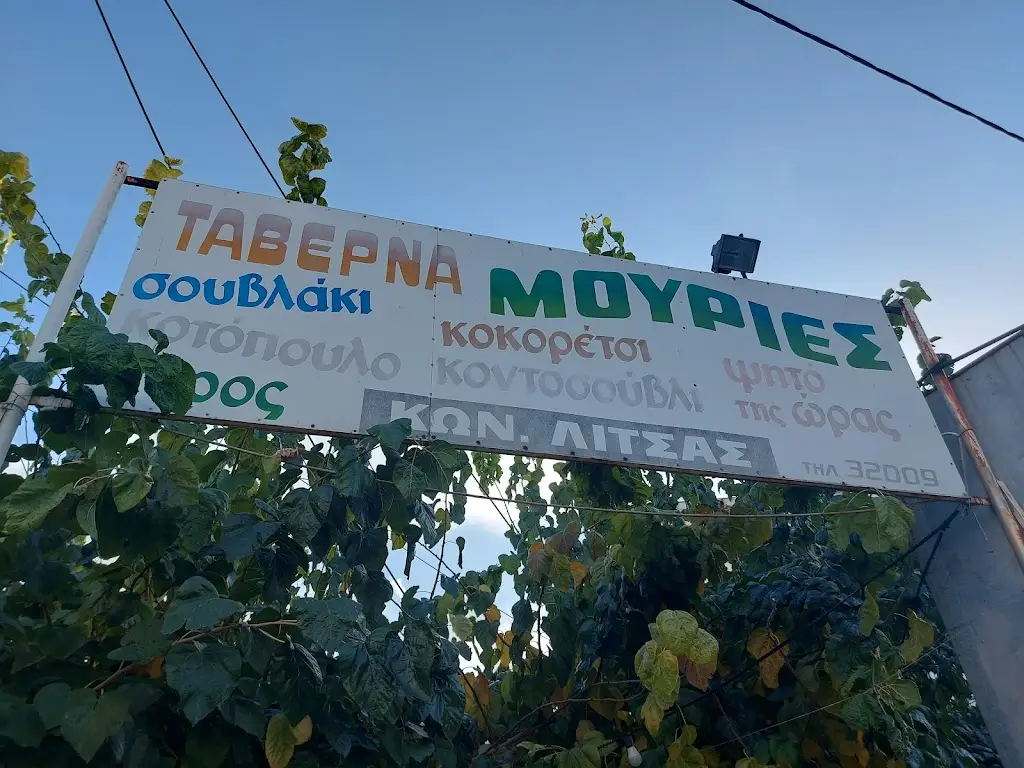 Sophia Sophia_Ταβέρνα Οι Μουριές_Oinófyta_Bewertung