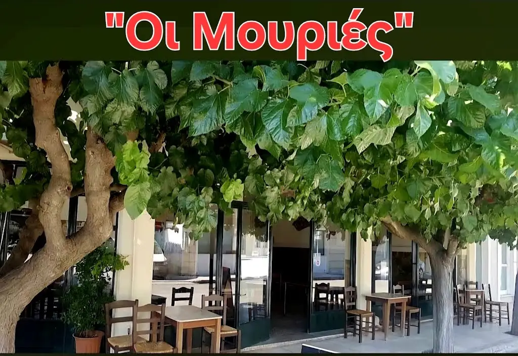 Οι Μουριές - παραδοσιακό εστιατόριο-cafe-snack bar_Orchomenós_slider_image_3