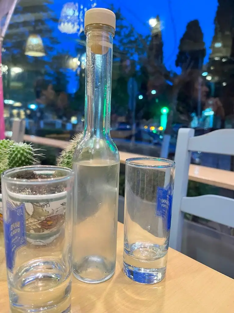 Menü_SAPANNO_Anoixi_Bild_4