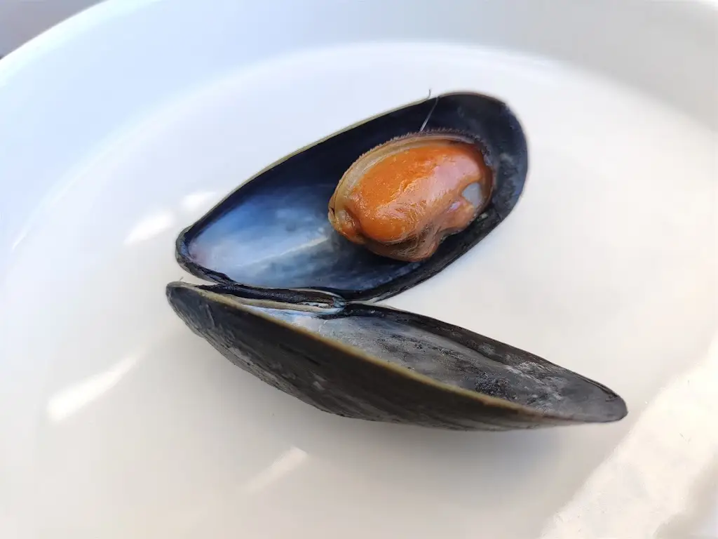 Menu_Ocean Restaurant_Pláka Dílesi_image_9