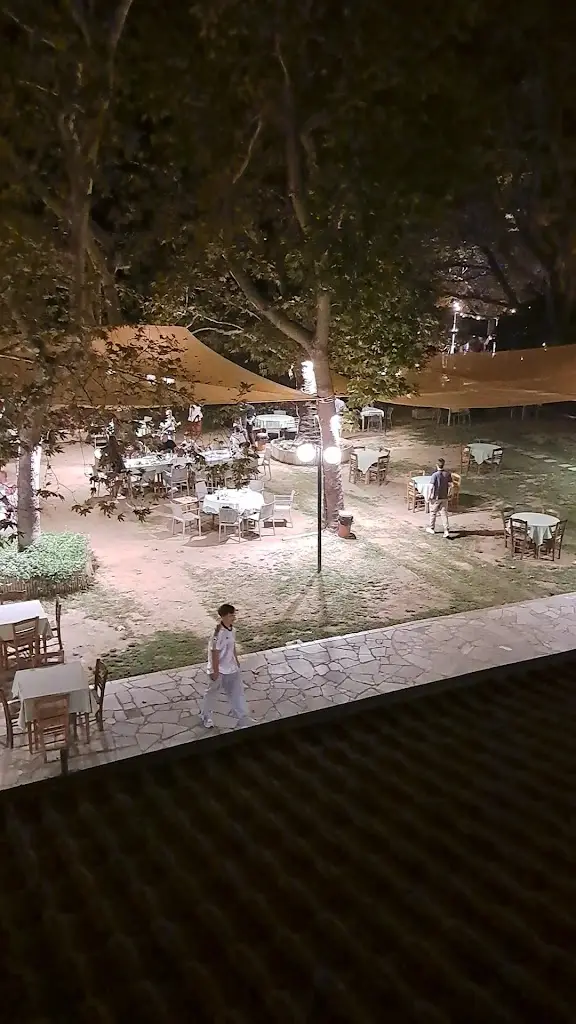 Stefan Petrescu_Kaliviotis_Stavrós_review