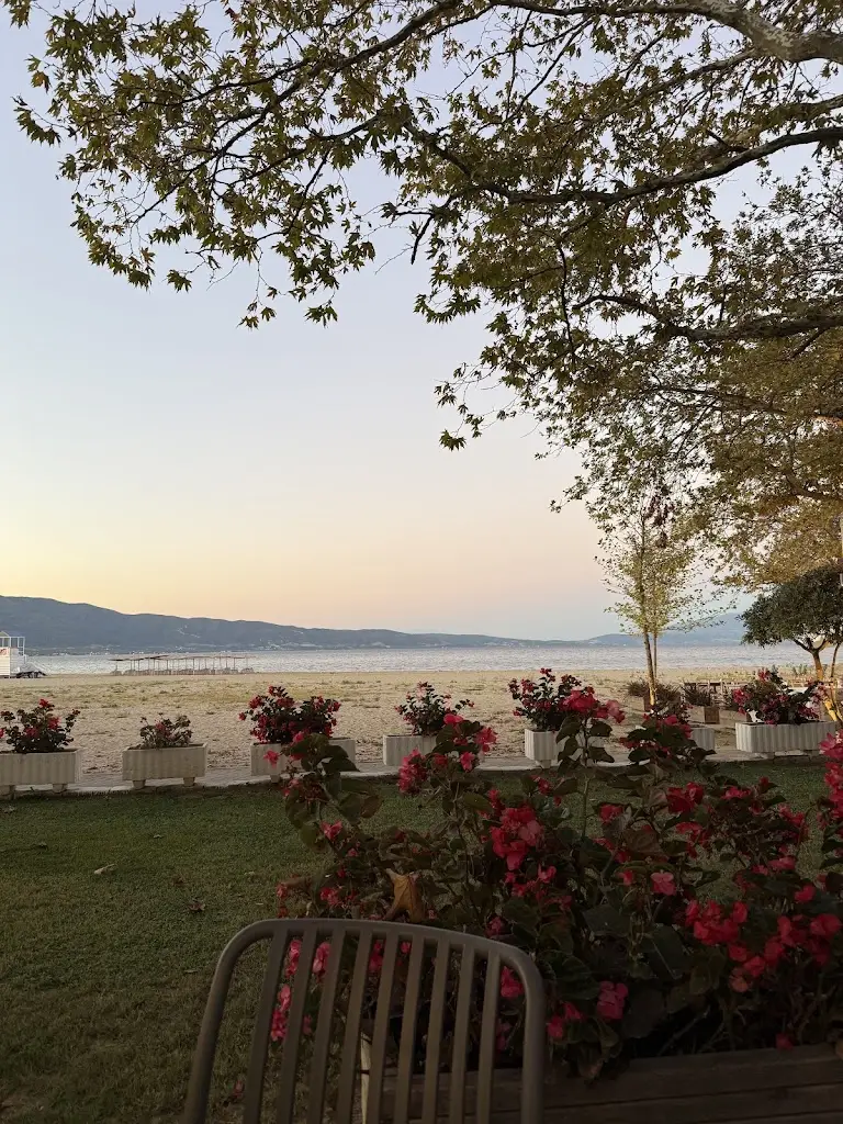 D Vasileva_Kaliviotis_Stavrós_review