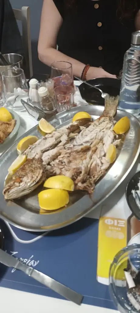 Cristina Papa_Λουκούλλειο Β.Καρακώστας_Stylída_review